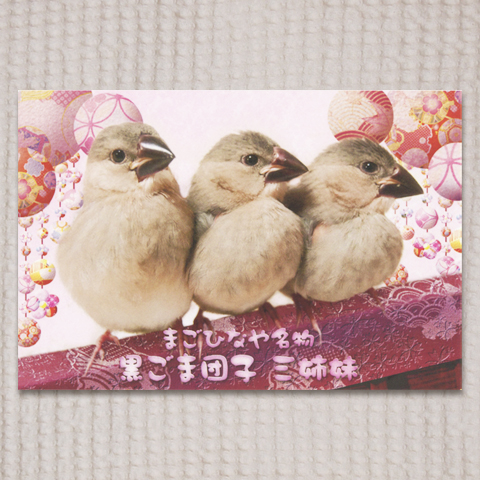 クリックで画像を表示