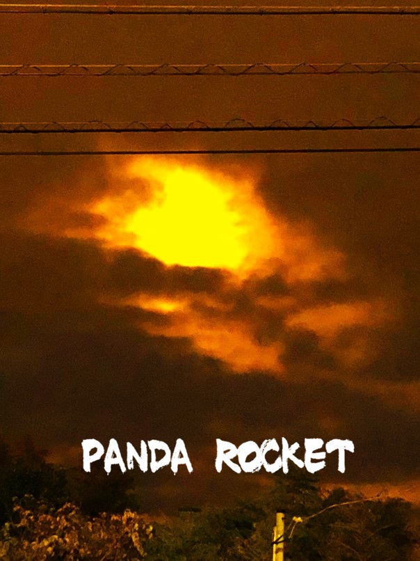 ST250 スポーツスタータンクKIT | パンダロケット