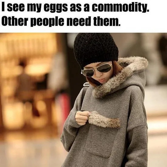 クリックで画像を表示