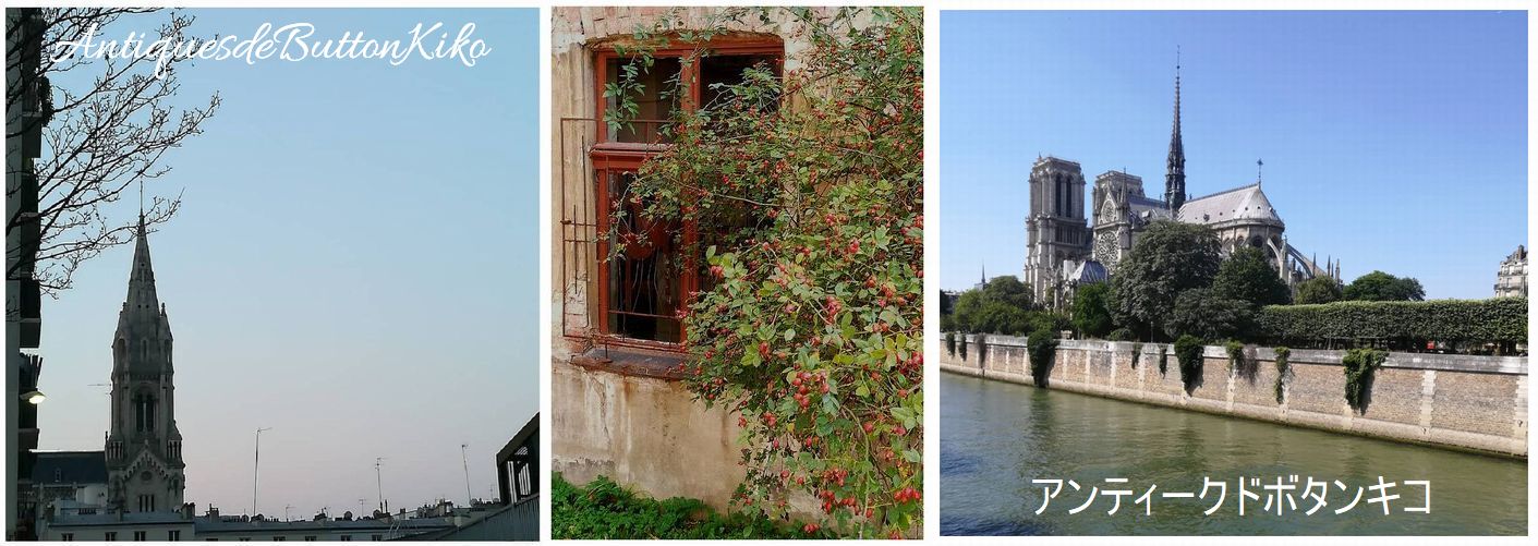 アンティークドボタンキコ
