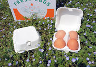 再生紙使用の卵用紙パック＜４個対応：無地＞１０枚組 | ピヨピヨ