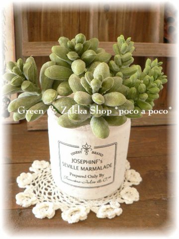 その他多肉植物 natural natural*多肉植物*ぷっくりセダム | Green＆Zakka shop *poco a