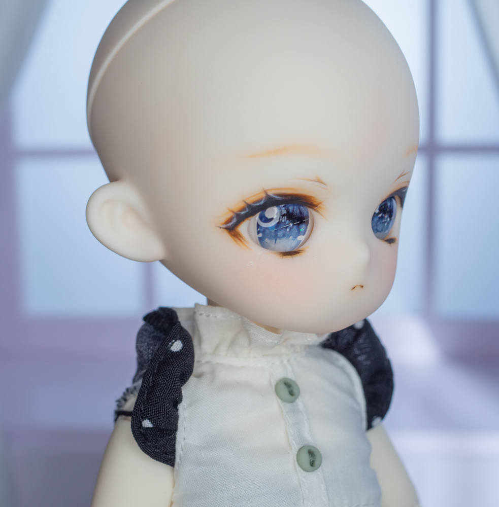 TinyFox C-13ヘッド カスタムヘッド +おまけレジンアイ | ぽこのあしあと