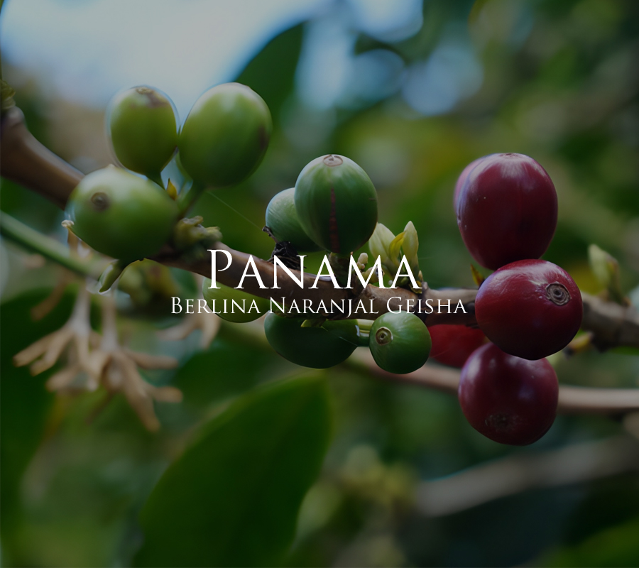 クリックで画像を表示