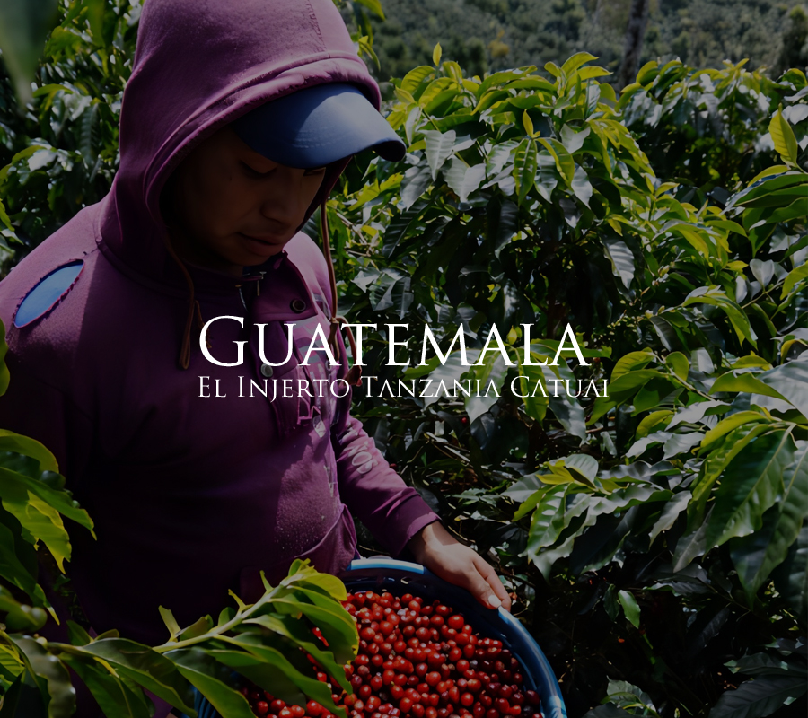 クリックで画像を表示