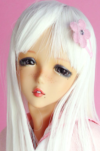 札付き♥️ラコロ✕ノバヒネリアナ✨ 多肉植物 - Search / X