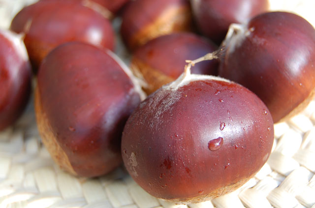 利平栗1kg 割れ栗 2L～4L | 熊本球磨 利平栗 無農薬生産直売通販店