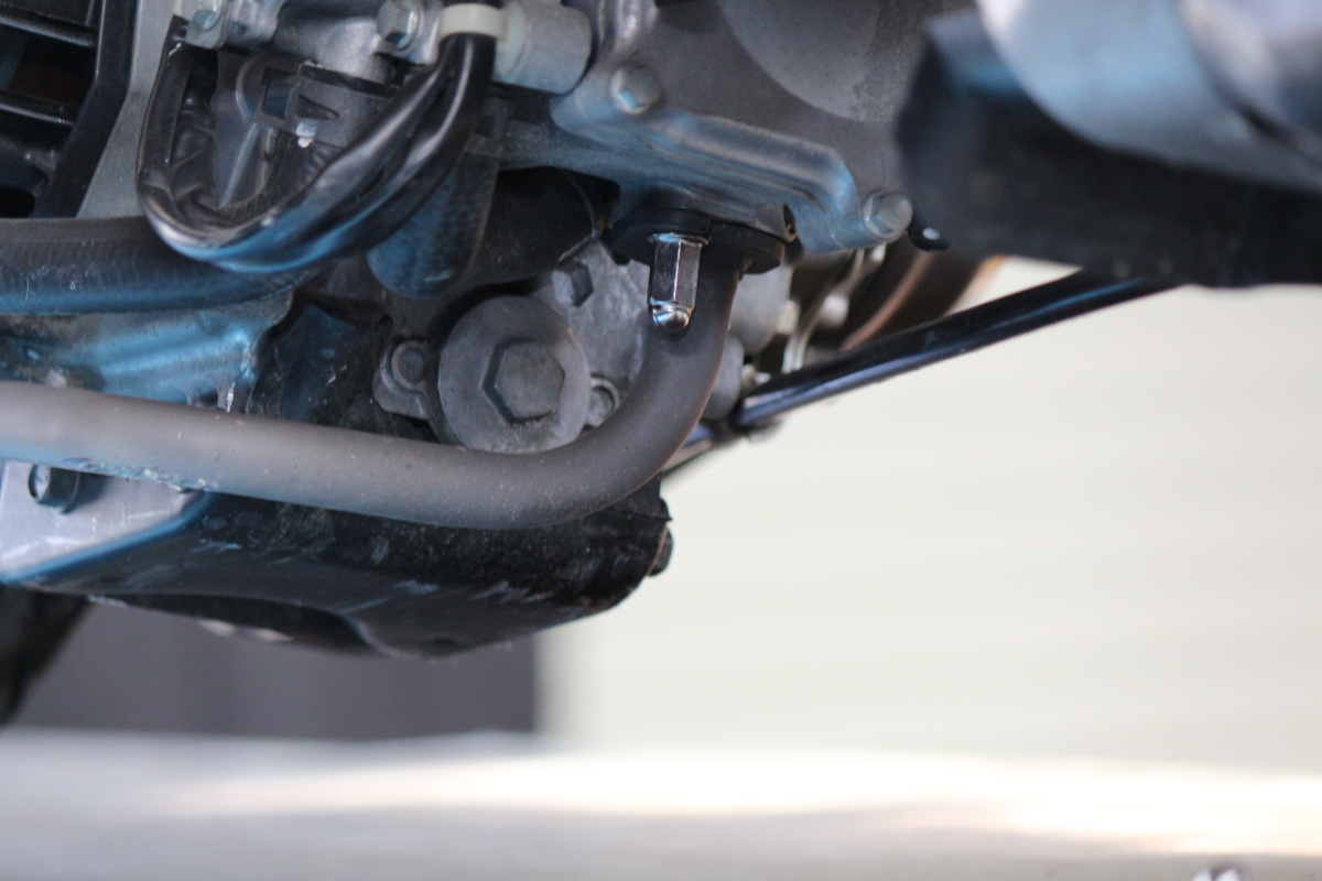 ズーマーマフラー ズーマー / ruckus マフラー Nattyworks製スマート