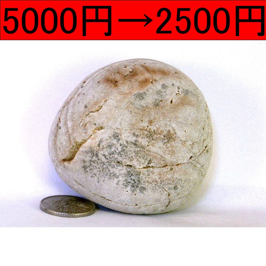 薬石苑】姫川薬石 盆石 水石 超特選 忍石 天然石絵 234g