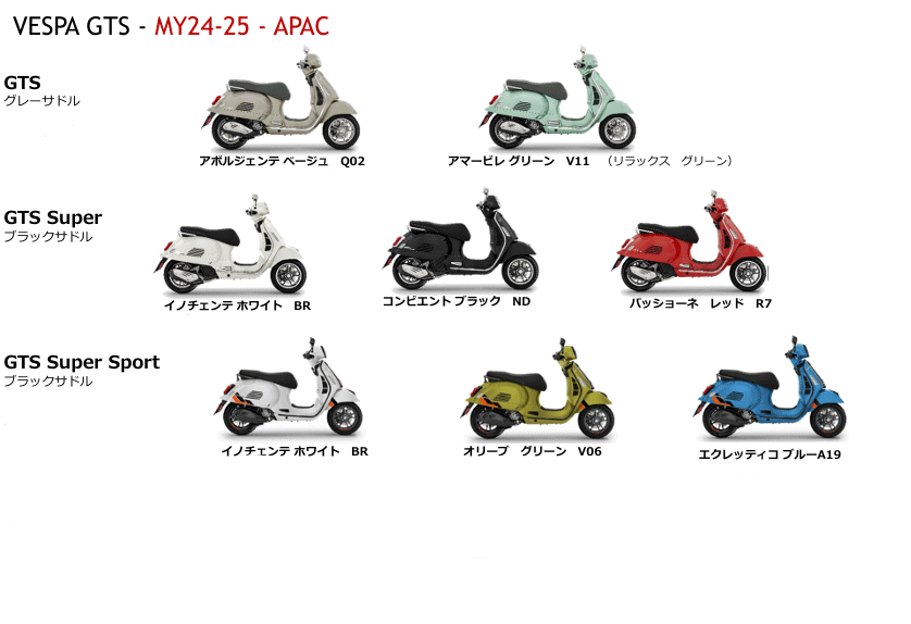 さすけちゃんページ Slip-On HEPTA FORCE TSS サイクロン EXPORT SPEC 政府認証