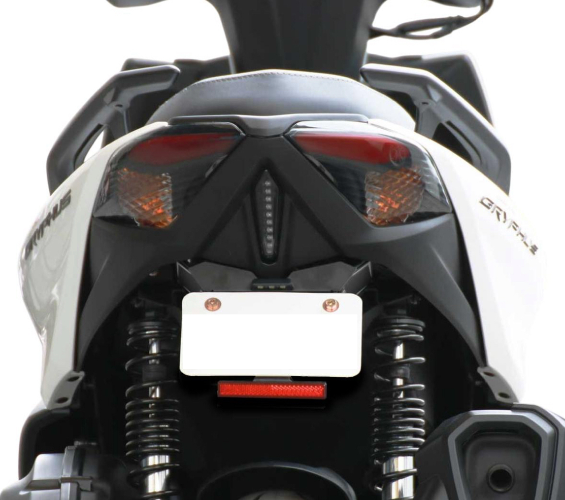 SKUNY 6型シグナス グリファス フェンダーレスキットV2 SKUNY 6型シグナス グリファス フェンダーレスキットV2 LEDナンバー灯