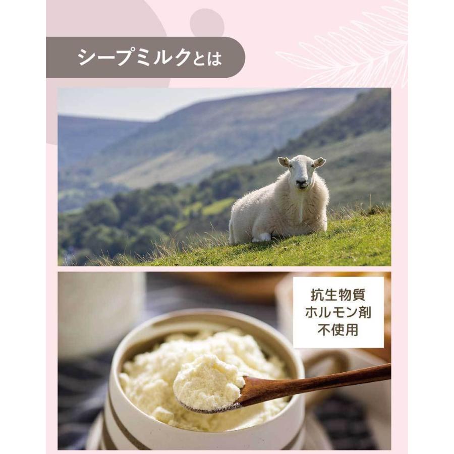 新品 MT. CAPRA グラスフェッド ヤギ粉ミルク 1.13kg2本セット 新品 MT. CAPRA グラスフェッド ヤギ粉ミルク 1.13kg2本セット