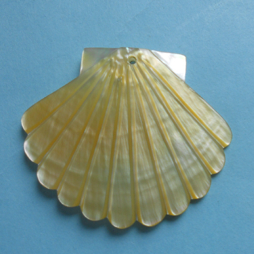 6427 白蝶 貝型 | 天然貝パーツ 有限会社シェルナカムラ