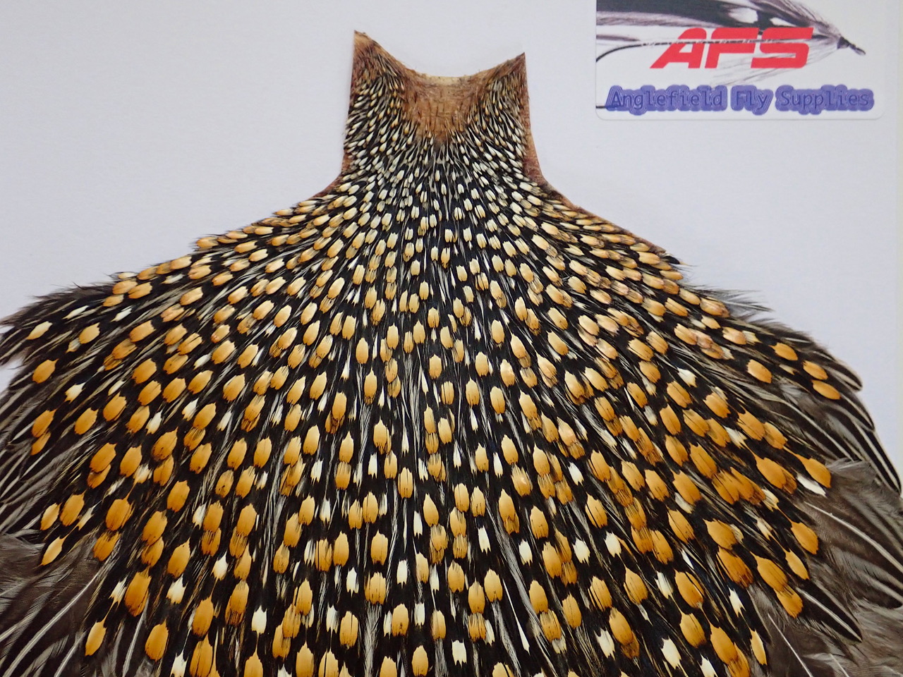 ジャングルコック スーパーグレード Anglefield Fly Supplies | フライ