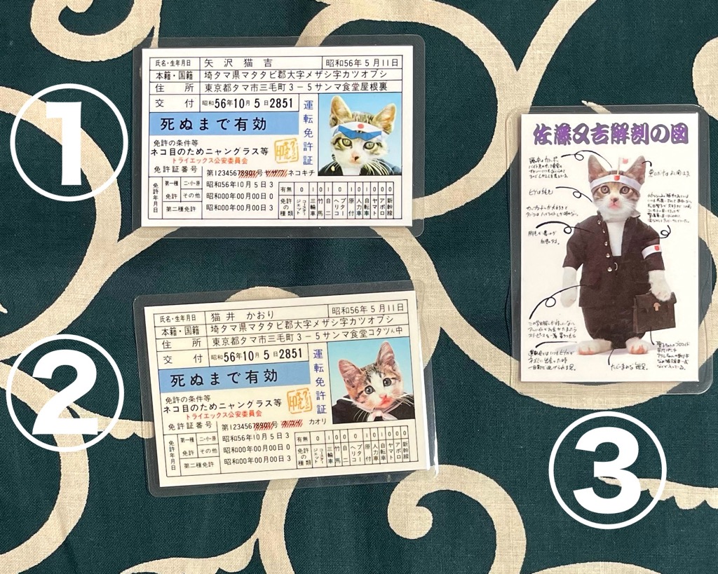 なめんなよ （なめ猫）オリジナルラミネートカード当時物 昭和レトロ 希少 当時物でもなめんなよ 〜なめ猫のラミネートカード〜 | スマイル札幌店