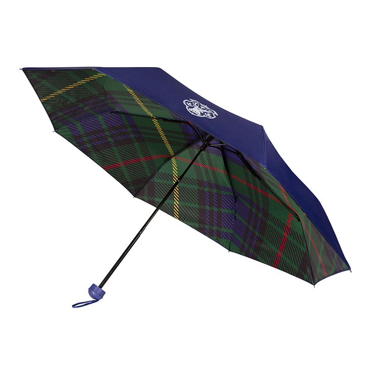 【HOT本物保証】折りたたみ傘 バッキンガム宮殿 傘