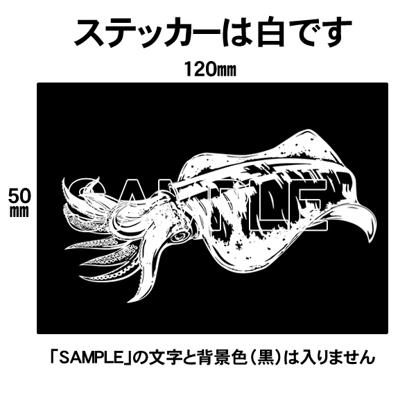 クリックで画像を表示