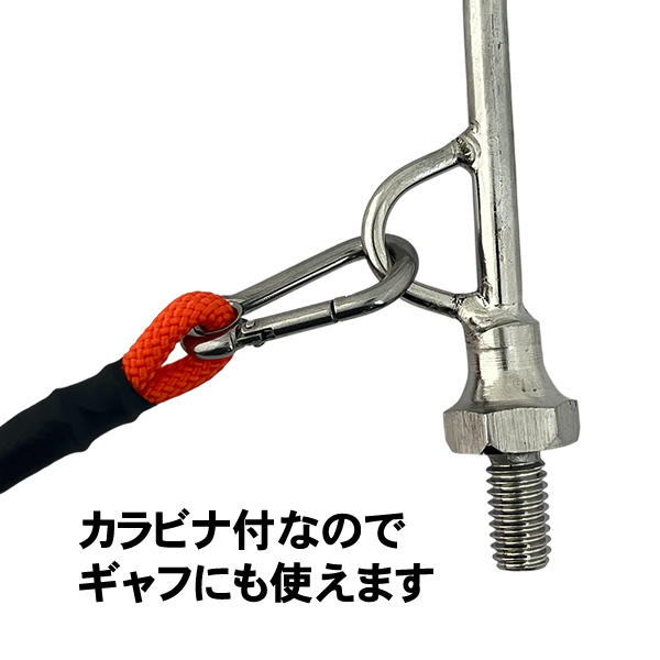 クリックで画像を表示