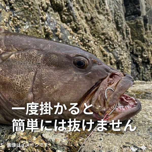 クリックで画像を表示