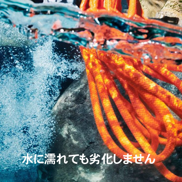 クリックで画像を表示