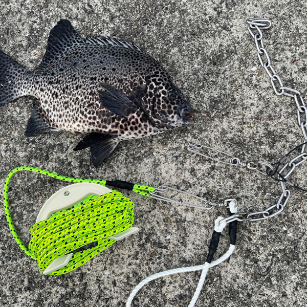 クリックで画像を表示