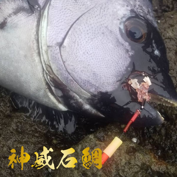 クリックで画像を表示