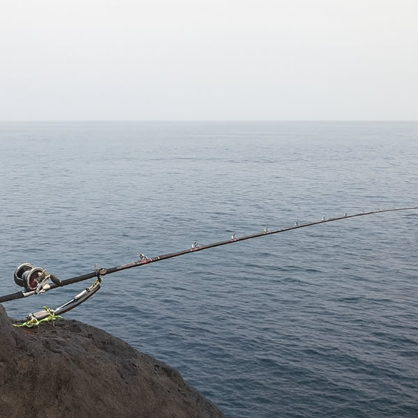 クリックで画像を表示