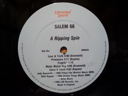 LP』 SALEM 66 / a ripping spin | Stay Free Records
