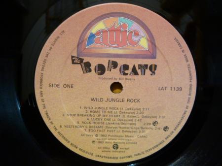 【希少/輸入盤】THE BOPCATS / WILD JUNGLE ROCK LP』 THE BOPCATS / wild jungle rock | Stay Free Records