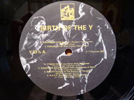 LP』 V.A. / birth of the y | Stay Free Records