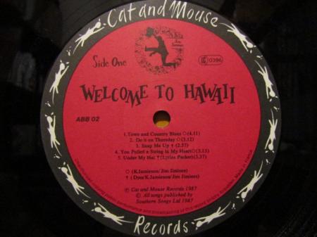 洋楽 Jim jiminee/welcome to Hawaii JIM JIMINEE / WELCOME TO HAWAII | Plastic Soul Records