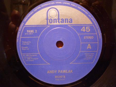 ANDY PAWLAK レコード ネオアコ ANDY PAWLAK レコード ネオアコ