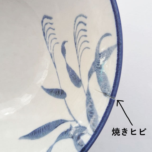 クリックで画像を表示