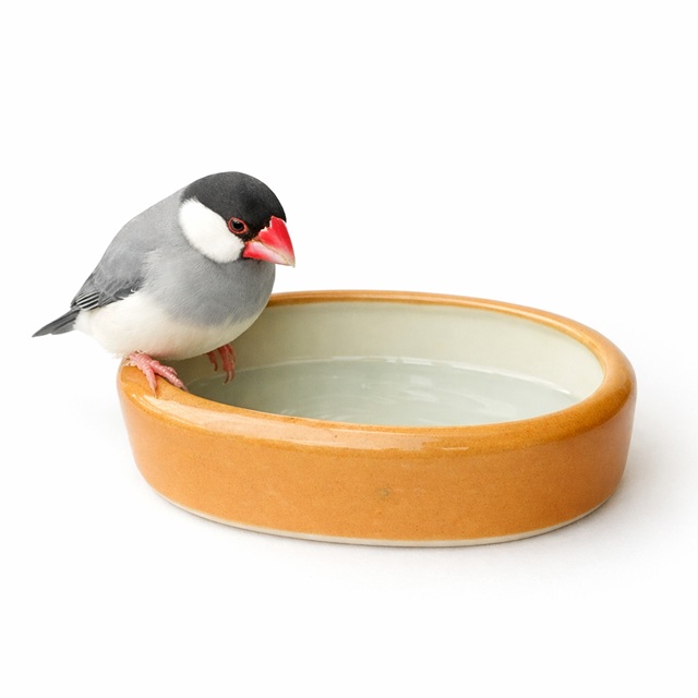 クリックで画像を表示