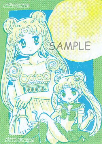 セラームーン 漫画本 セーラームーン様専用ページ⭐セイカの