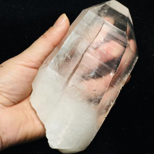 超激レア トライゴーニック トマスゴンサガ産 クラスター 超激レア