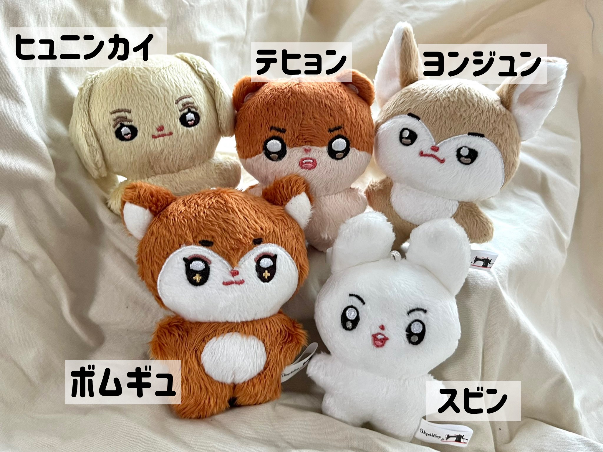 TXT 10cmドール 툽깅의숲 ボムギュ - Haruka JPGO