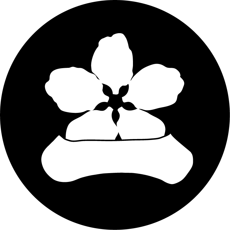 stillichimiyaのホームページ