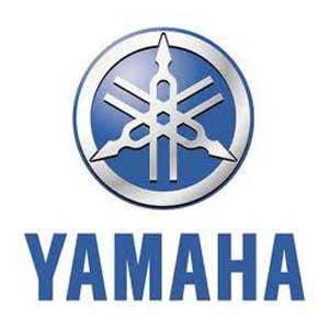 よんよん　ヤマハYAMAHA PAS Bubby ジャンク よんよん様専用 ヤマハYAMAHA PAS Bubby ジャンク