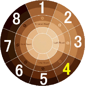 エチオピア グジG-1 ゼレラム農園 ウラガ レッドハニー 200g | 株式