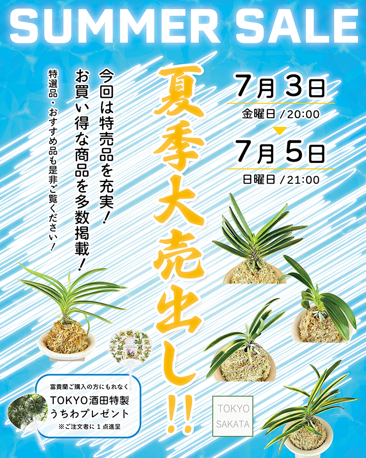 未分類の商品一覧 | TOKYO酒田