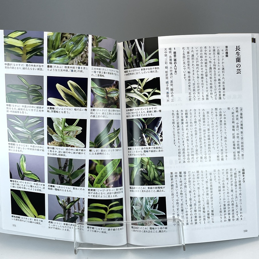 長生蘭：大自然からの贈り物 堀籠浩史著 ※クリックポスト利用・発送料