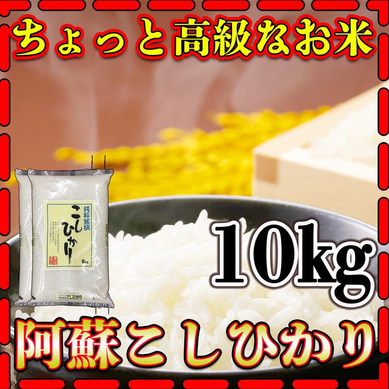 お米 米 10kg 白米 熊本県 阿蘇産 こしひかり 新米 令和5年産