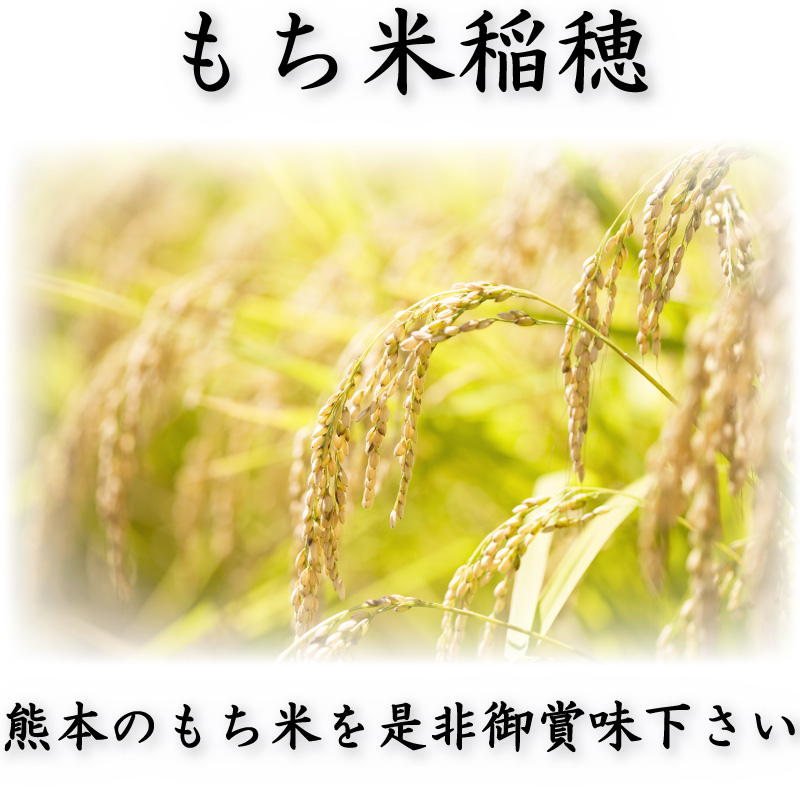 お米 米 1kg もち米 熊本県産 ヒヨクモチ 令和7年産 精白米 くまもとの
