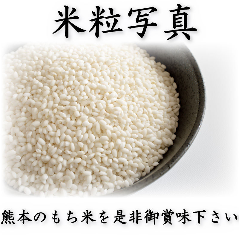 お米 米 1kg もち米 熊本県産 ヒヨクモチ 新米 令和7年産 精白米