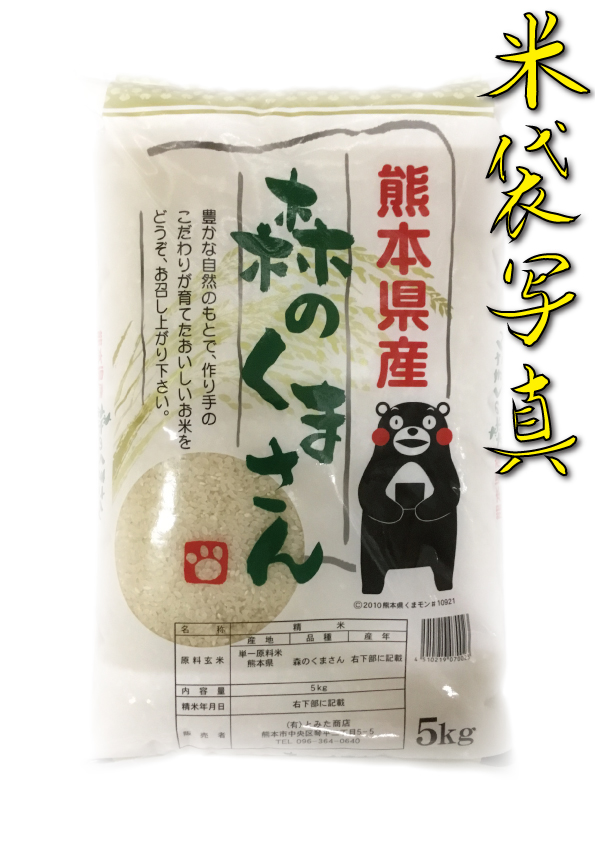 お米 米 30kg 白米 熊本県産 森のくまさん 新米 令和5年産 5kg6個 くま