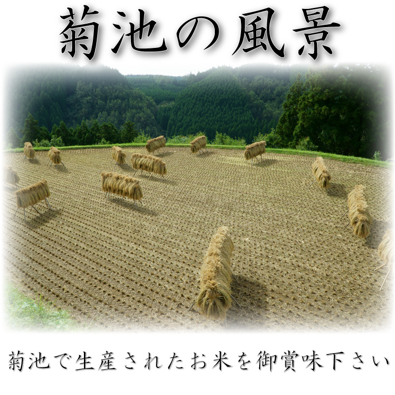 お米 米 30kg 白米 熊本県 菊池産 ひのひかり 令和7年産 ヒノヒカリ お米 米 30kg 白米 熊本県 菊池産 ひのひかり 令和7年産 ヒノヒカリ