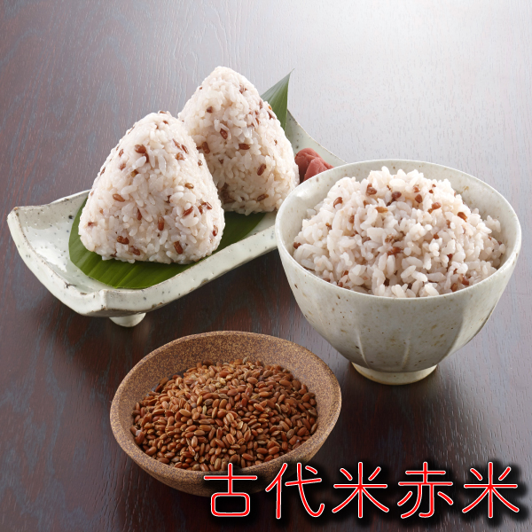 お米 米 1kg 玄米 熊本県産 赤米 無農薬 新米 令和6年産 古代米