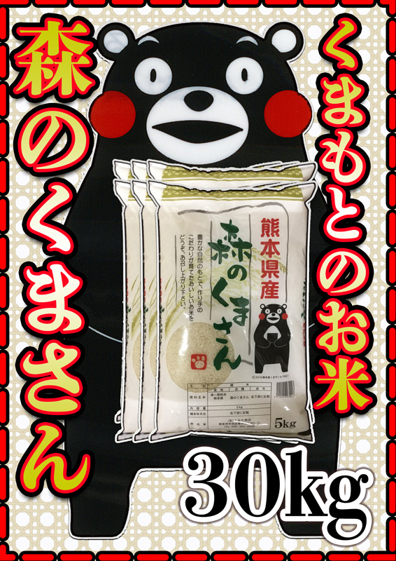 お米 米 30kg 白米 熊本県産 森のくまさん 新米 令和5年産 5kg6個 くま