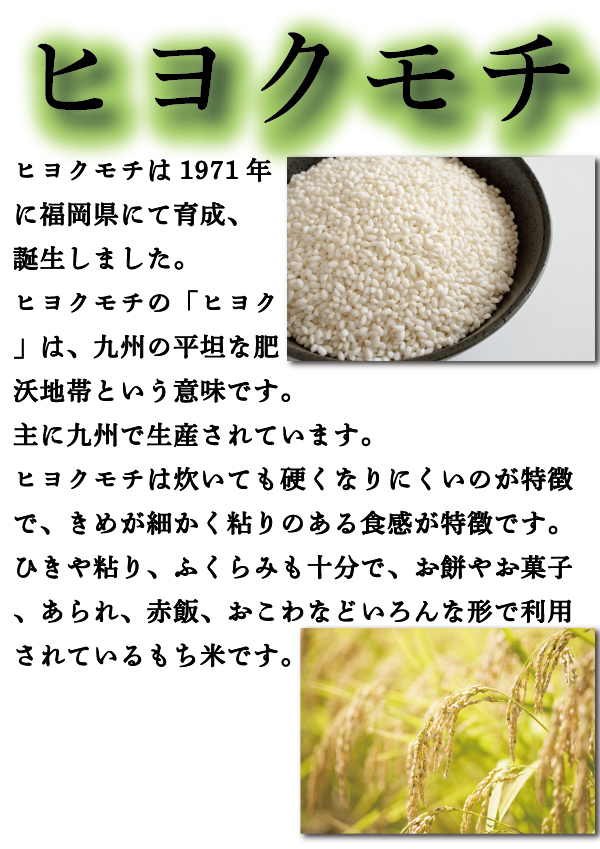 餅米　熊本県産ヒヨクモチ　10kg精米済み ヒヨクモチ 米 もち米 精米10kg 熊本県産 令和6年産 10kg : こめ